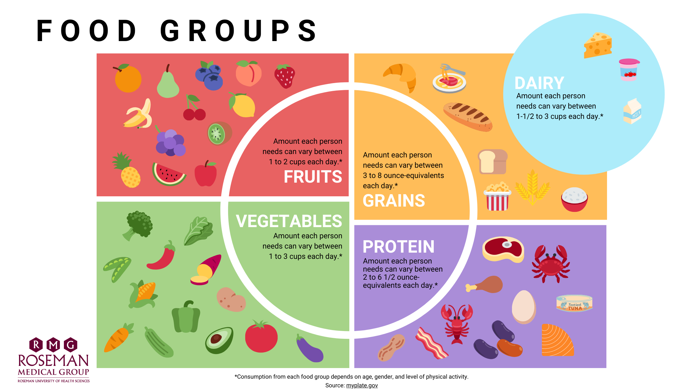 Food Groups. Fruits - Amount each person needs can vary between 1 to 2 cups each day. Grains - Amount each person needs can vary between 3 to 8 ounce-equivalents each day. Dairy - Amount each person needs can vary between 1-1/2 to 3 cups each day. Vegetables - Amount each person needs can vary between 1 to 3 cups each day. Protein - Amount each person needs can vary between 2 to 6-1/2 ounce-equivalents each day. Consumption from each food group depends on age, gender, and level of physical activity. Source: myplate.gov