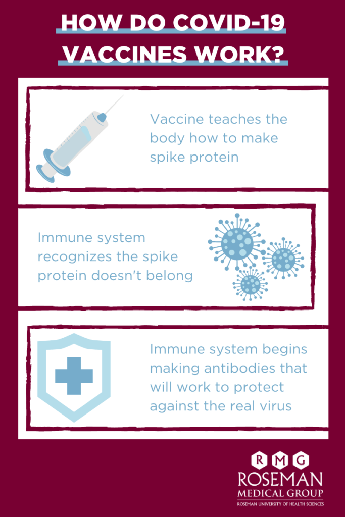How do COVID-19 Vaccines Work? Vaccine teaches the body how to make spike protein. Immune system recognizes the spike protein doesn't belong. Immune system begins making antibodies that will work to protect against the real virus. Roseman Medical Group.