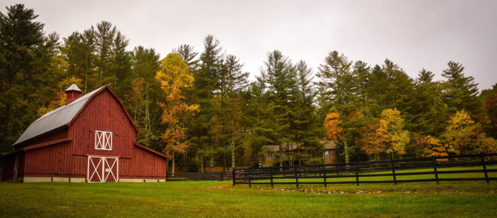 autumn farm