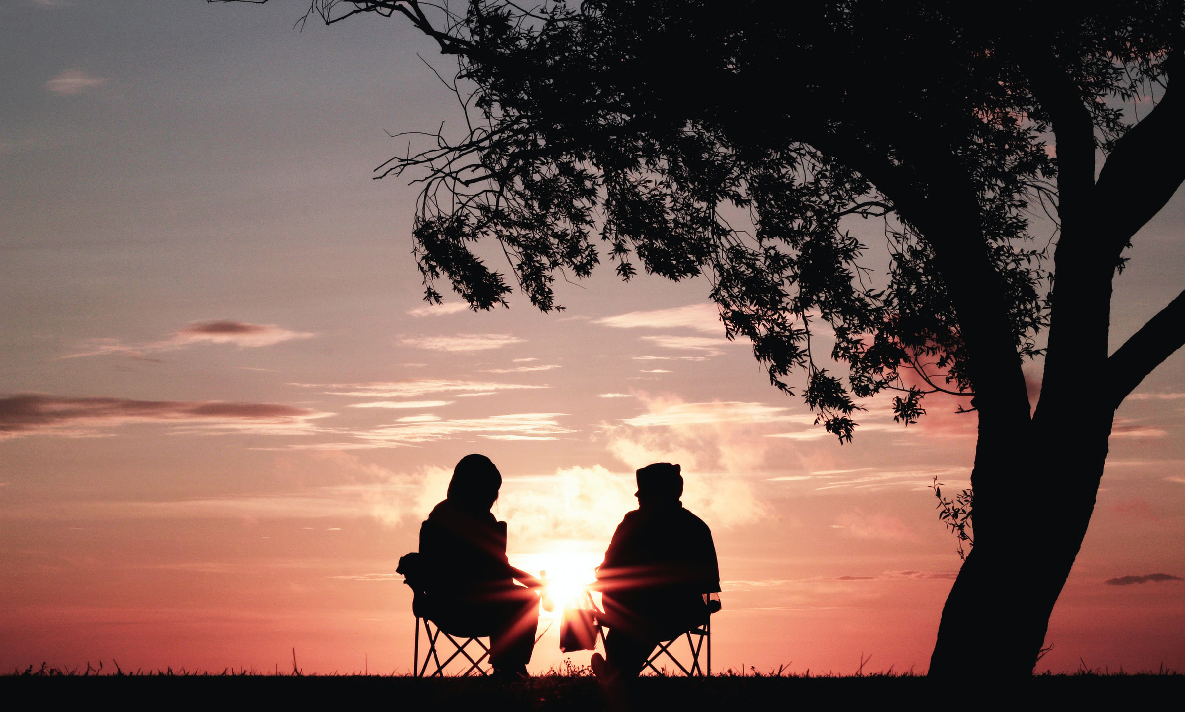 two people sit under a tree as the sun sets