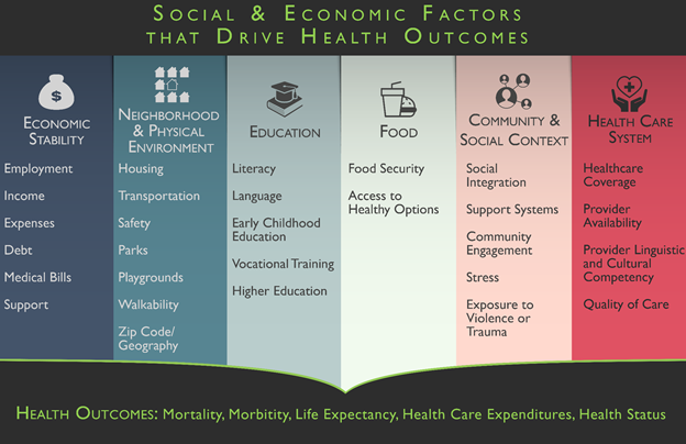 The social and economic factors that drive healt outcomes include economic stability, neighborhood and physical environment, education, food, community and social context, and the health care system.